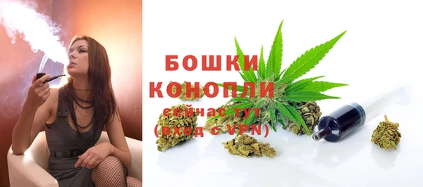 jwh Бердск