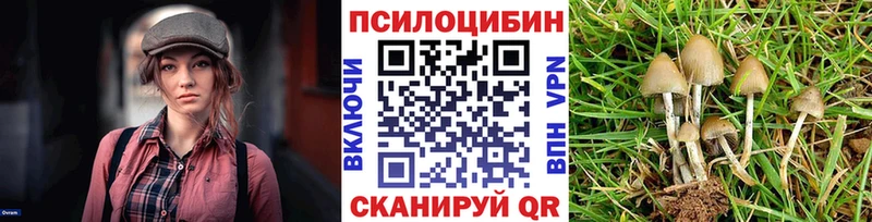 Псилоцибиновые грибы мицелий  MEGA маркетплейс  Жуков 